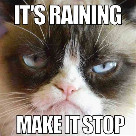 funny raining memes|stop raining memes.